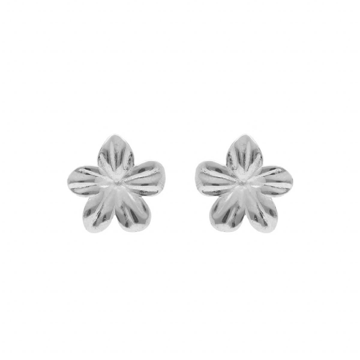 Boutons D'Oreille ALOÏZE Modèle Collection Numéro Série Version ALB01 Acier Inoxydable
