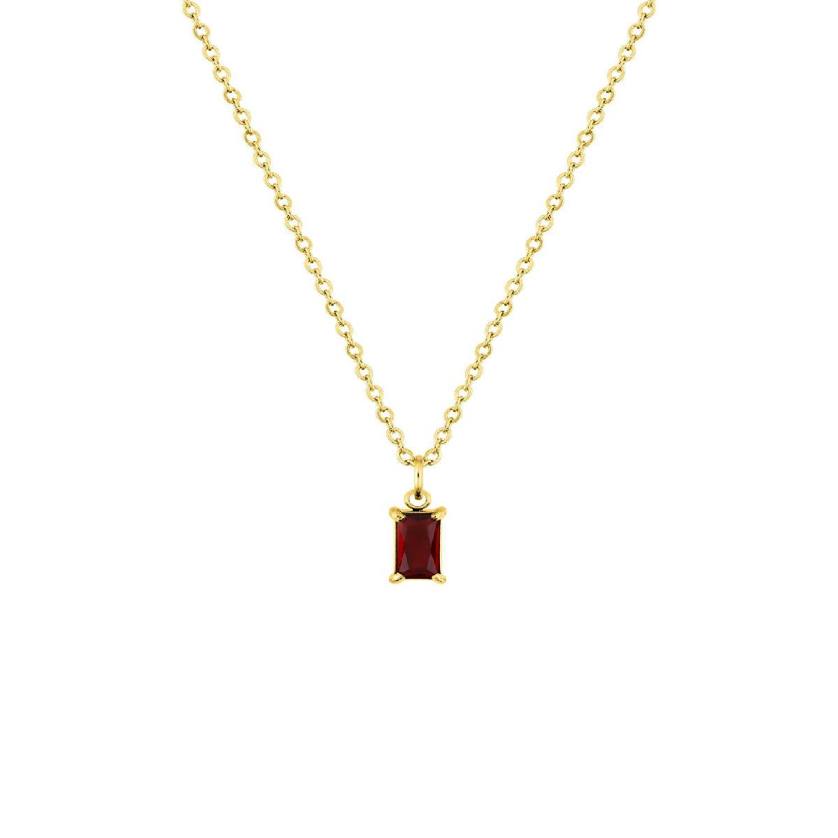 Collier Simple +P. Couleur – Acier Inoxydable