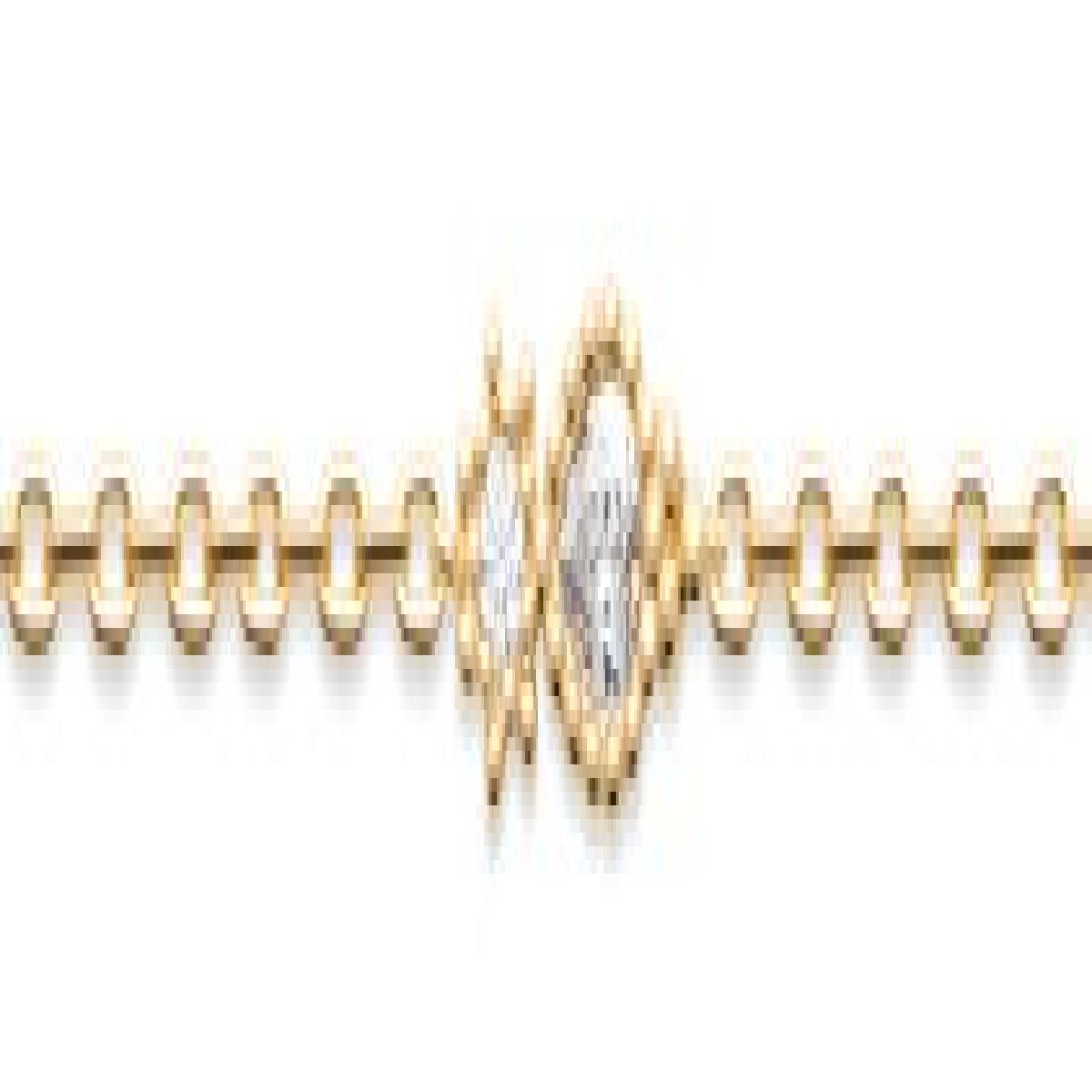 Bracelets Simples P. Blanches Collection Privée Édition Limitée 2024 – Zirconium
