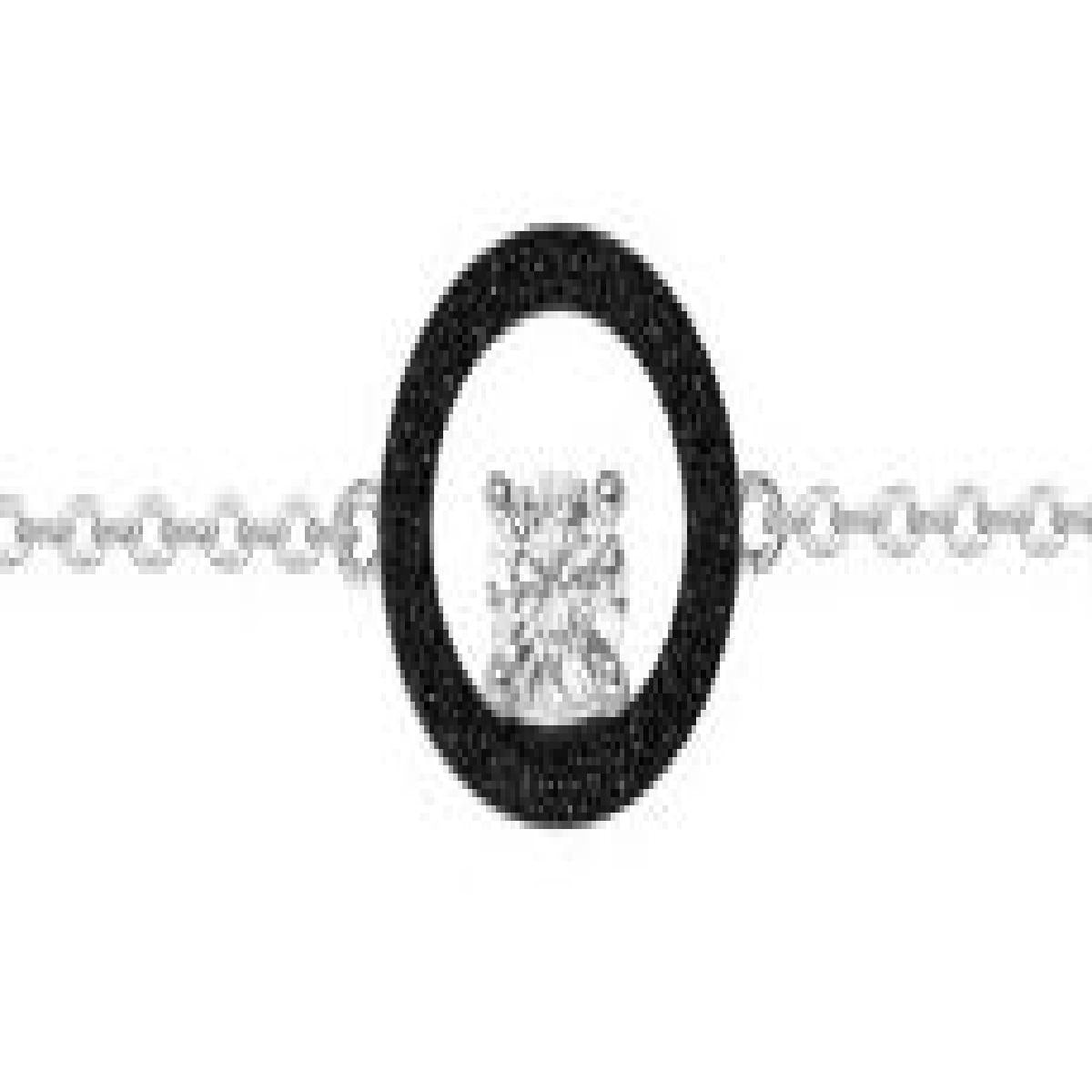 Bracelet Simple Aloïze P.Couleur Satiné Maillons Rectifiés Version Classique – Argent 925 et Zirconium