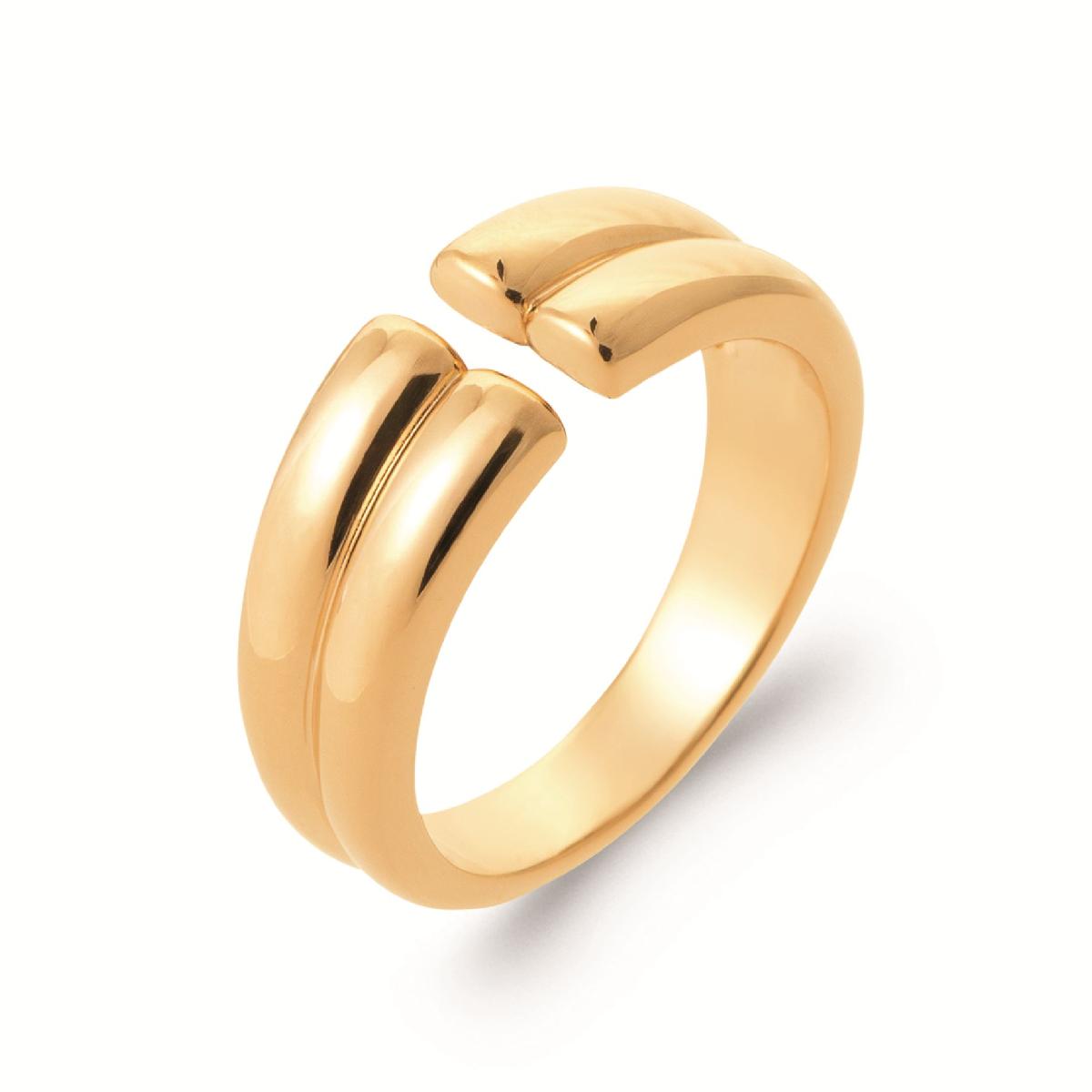 Bague Ovale Héraldique Gravée Motif Liséré Double Empreinte Gravée Sur Plaquage Estampé – Or 18 carats